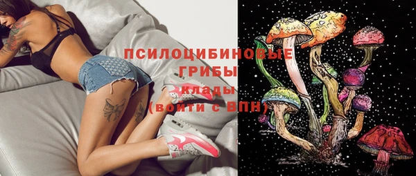 прущая мука Абаза