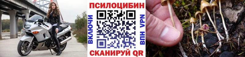 hydra зеркало  даркнет состав  Галлюциногенные грибы Psilocybe  Нижняя Тура 